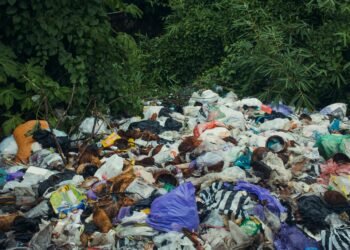 SELF-CLEANING CITIES