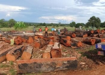 police block timer traders