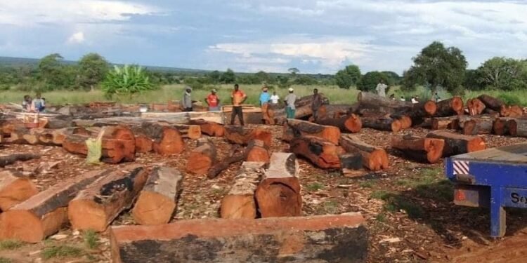 police block timer traders