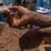 Mpox cases rise to 38 in Nakonde