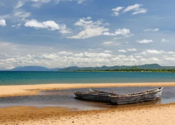 DC ORDERED CADRES TO RAPE, KILL ME