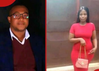 Accountant murders live-in girlfriend