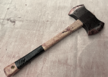 Mentally challenged boy, 16, kills sister-in-law