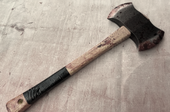 Mentally challenged boy, 16, kills sister-in-law