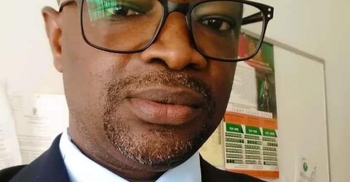 The Constitutionality of the Technical Committee: A reply to Prof Cephas Lumina