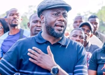 LOSS IBABA, CRIES LISWANISO