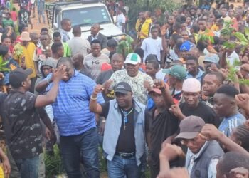 LIES WON’T SAVE YOU – Opposition