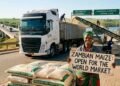 Lifting maize export restrictions: A turning point for Zambia’s smallholder farmers??