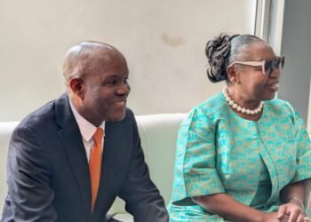 Those paid to humiliate us failed – M’membe