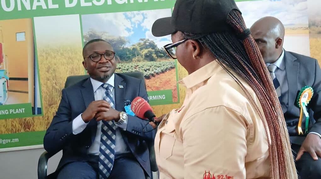 Zambia, Katanga cement ties on forests, climate