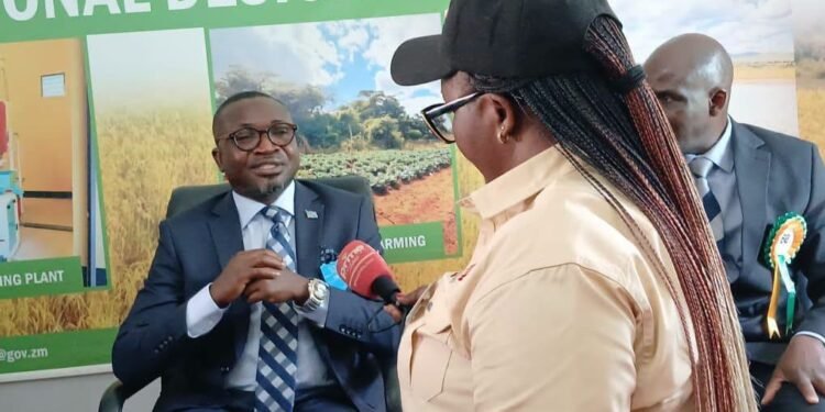 Zambia, Katanga cement ties on forests, climate
