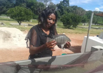 Local feed blues scaring fish farmers – scientist