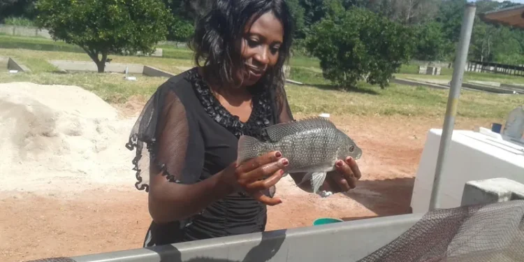 Local feed blues scaring fish farmers – scientist